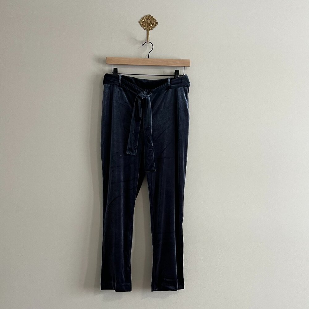 NWT Jules & Leopold Blue Velvet Pull On Ankle Pants | Slim Leg | Small